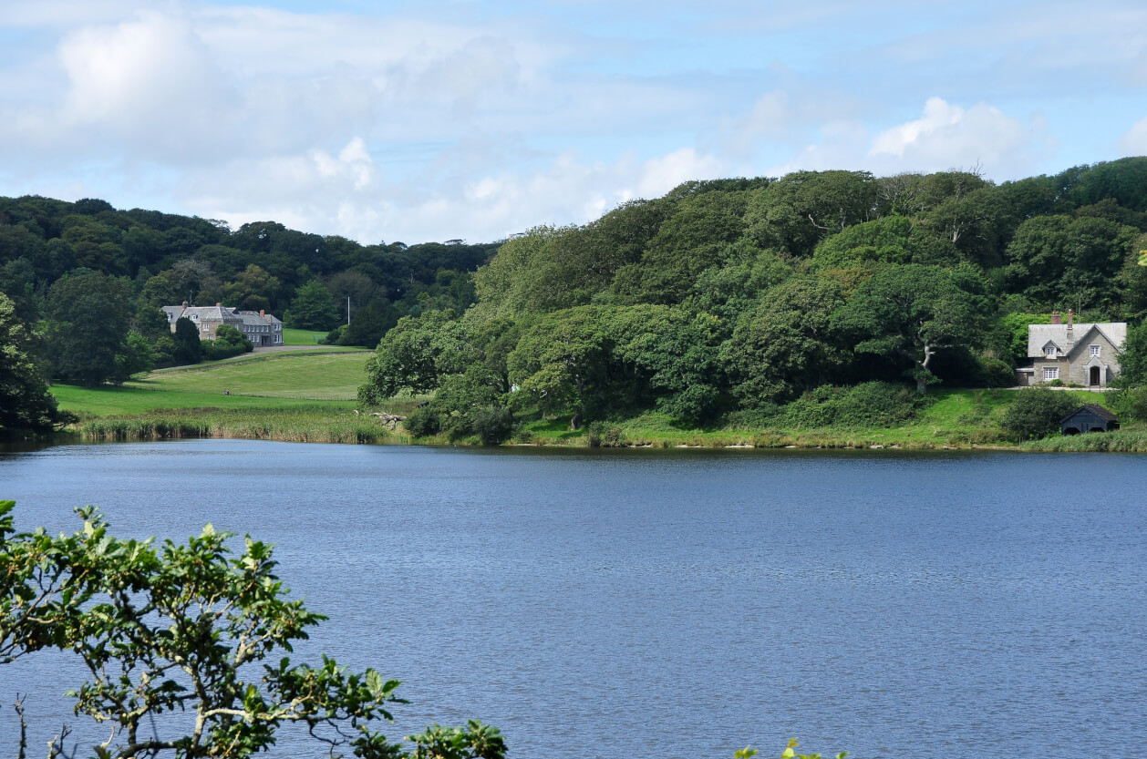 penrose from across the loe