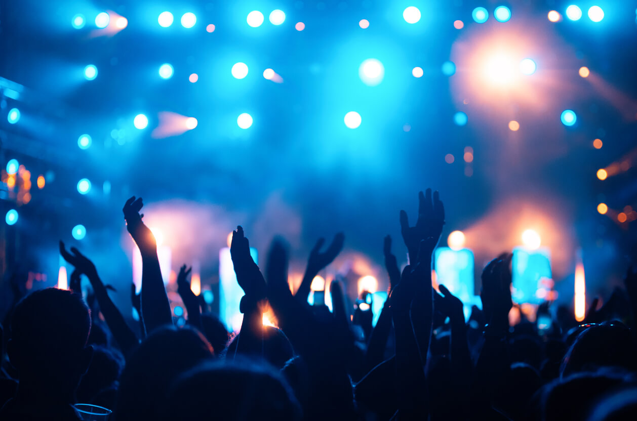 people enjoying concert at festival