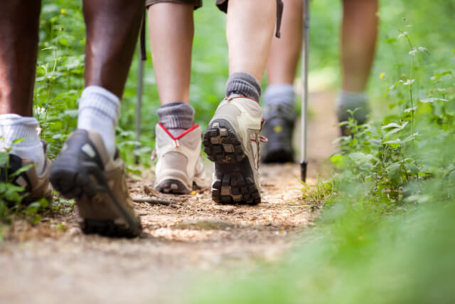 people hiking on trail