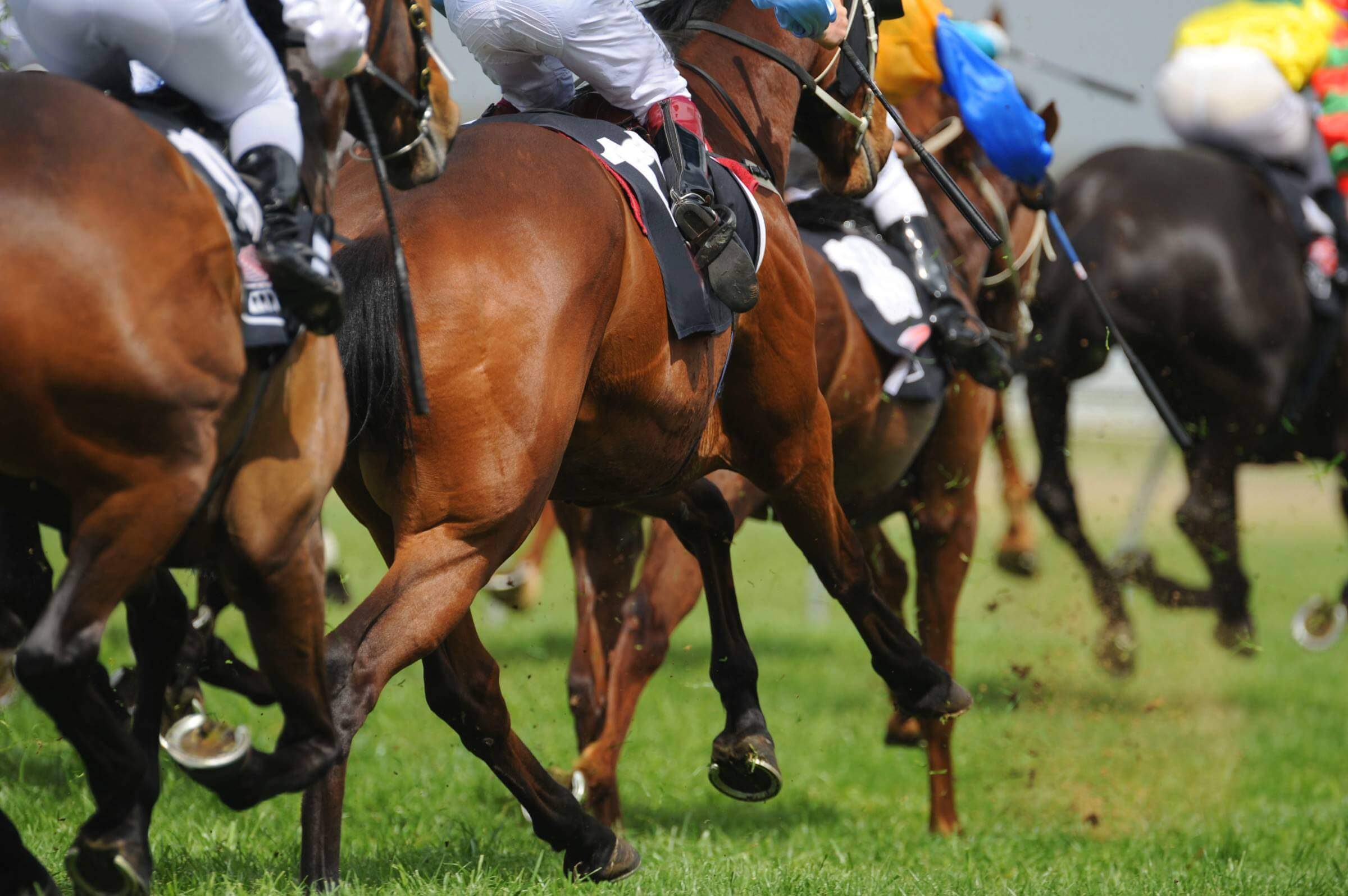 Cheltenham Racecourse