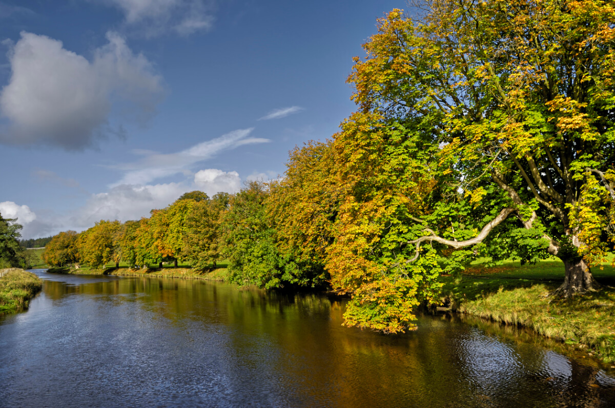 river wharfe yorkshire dales