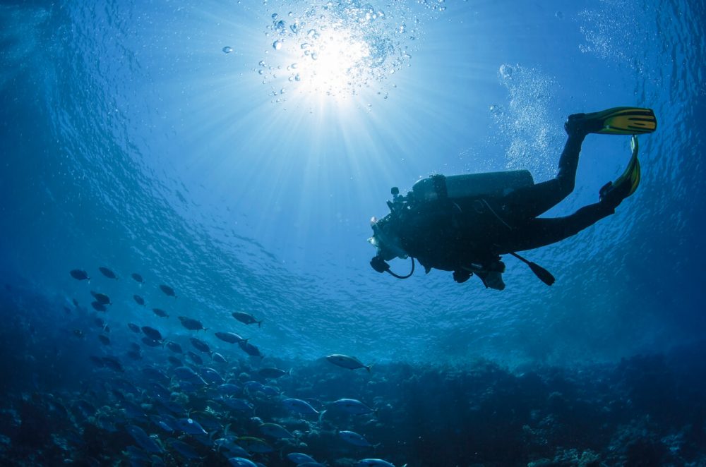 scuba diver in sea