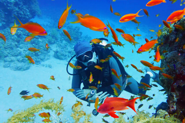 scuba diver with fish