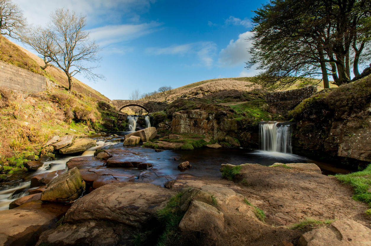 three shires head