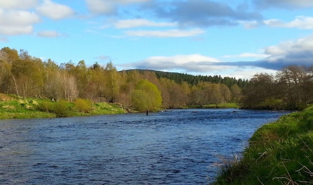 Trout Salmon Fishing in Scotland