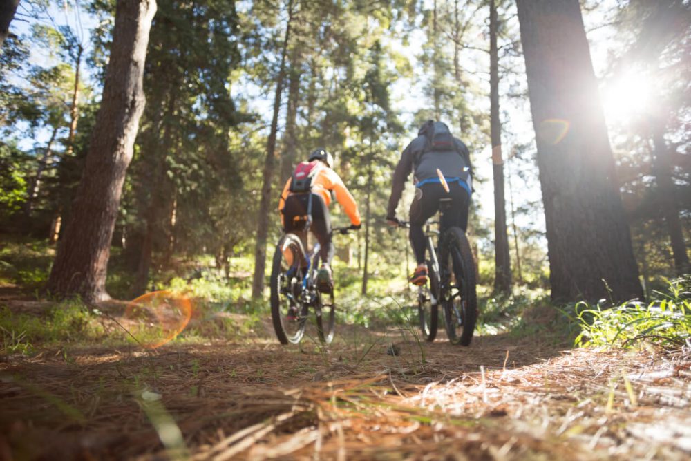 two mountain bikers in forest